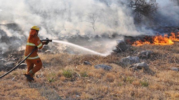 calor-y-fuego:-mas-de-200-bomberos-combaten-un-incendio-forestal-en-el-valle-de-traslasierra-de-cordoba