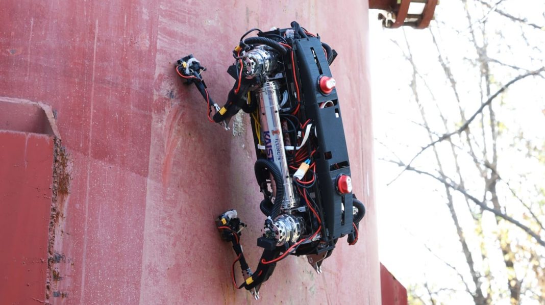 cientificos-coreanos-inventaron-“robots-arana”-que-son-capaces-de-escalar-paredes-y-caminar-por-los-techos